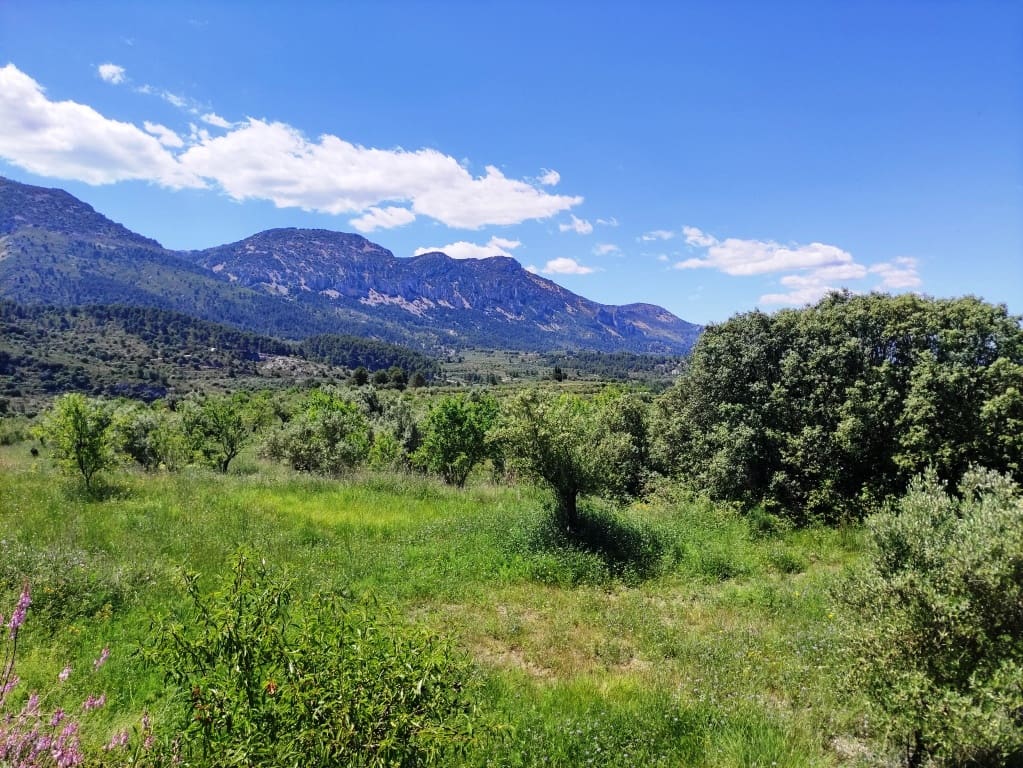 Undeveloped Land for sale in Benimassot - € 43,000 (Ref: 9865474)