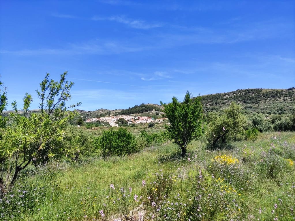 Undeveloped Land for sale in Benimassot - € 43,000 (Ref: 9865474)