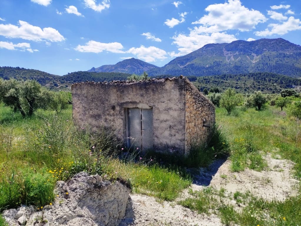 Undeveloped Land for sale in Benimassot - € 43,000 (Ref: 9865474)