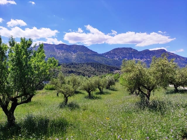 Undeveloped Land for sale in Benimassot - € 43,000 (Ref: 9865474)