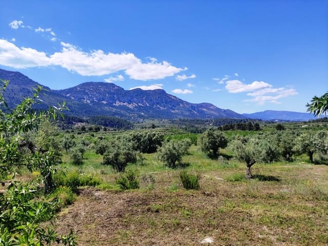 Undeveloped Land for sale in Benimassot - € 43,000 (Ref: 9865474)