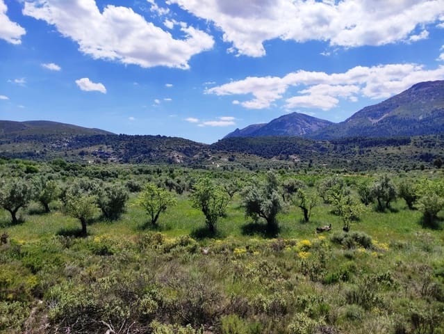 Undeveloped Land for sale in Benimassot - € 43,000 (Ref: 9865474)
