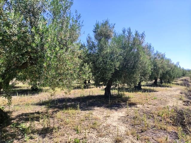 Mark till salu i Muro de Alcoy - 59 000 € (Ref: 9865475)