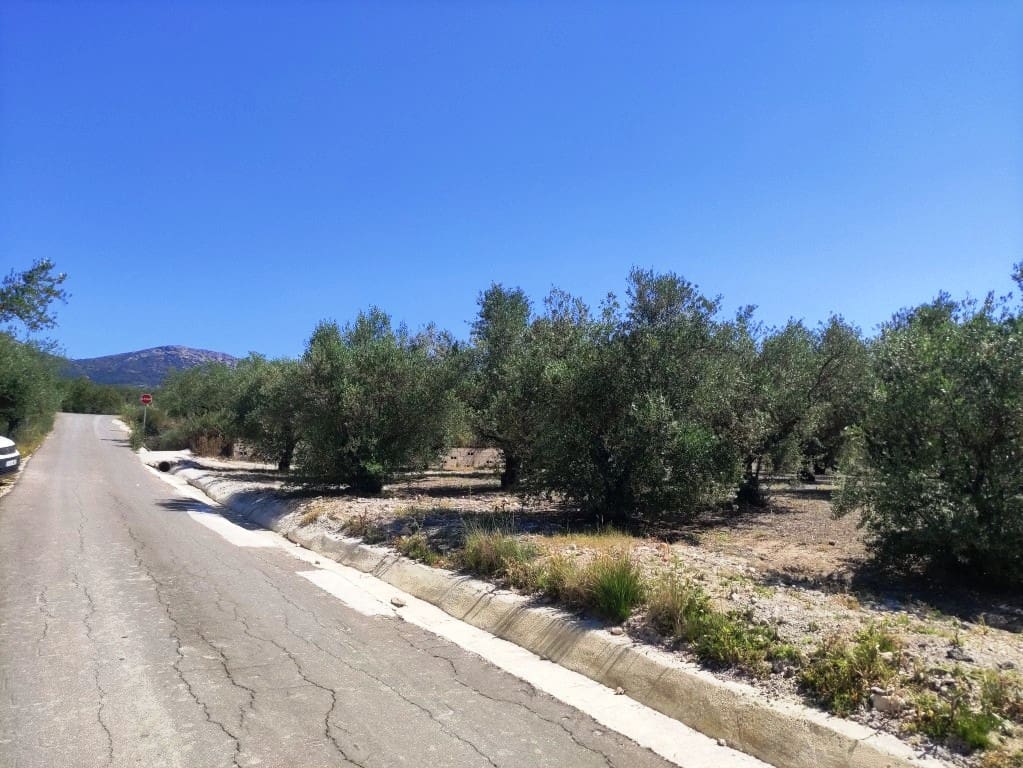 Undeveloped Land for sale in Muro de Alcoy - € 59,000 (Ref: 9865475)