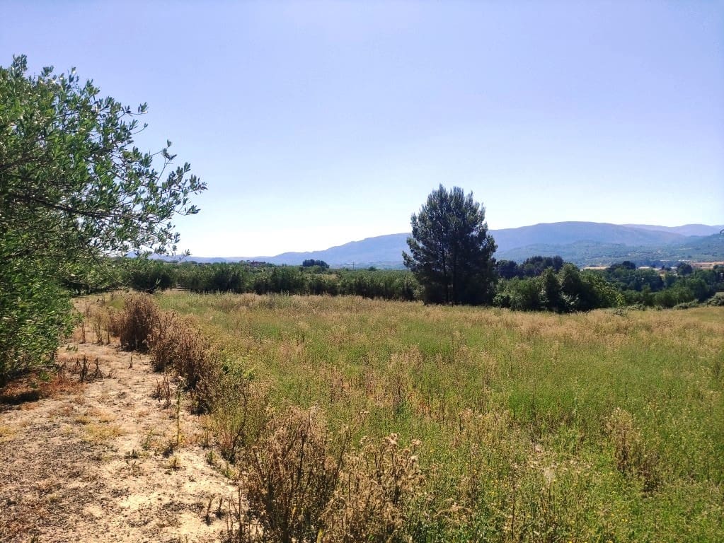 Undeveloped Land for sale in Muro de Alcoy - € 59,000 (Ref: 9865475)