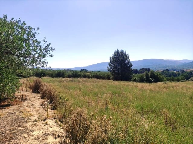 Mark till salu i Muro de Alcoy - 59 000 € (Ref: 9865475)