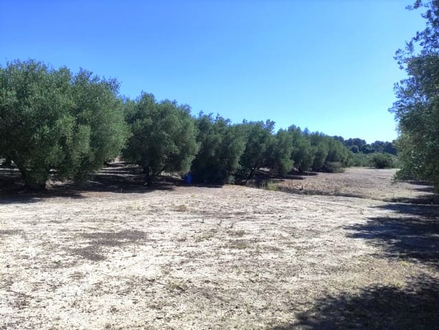 Mark till salu i Muro de Alcoy - 59 000 € (Ref: 9865475)
