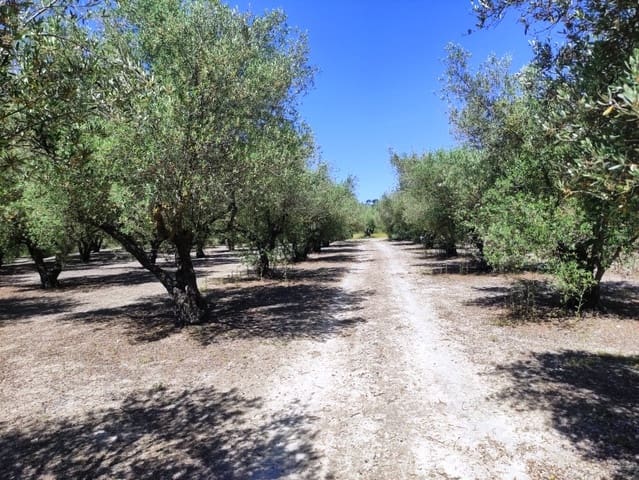 Mark till salu i Muro de Alcoy - 59 000 € (Ref: 9865475)