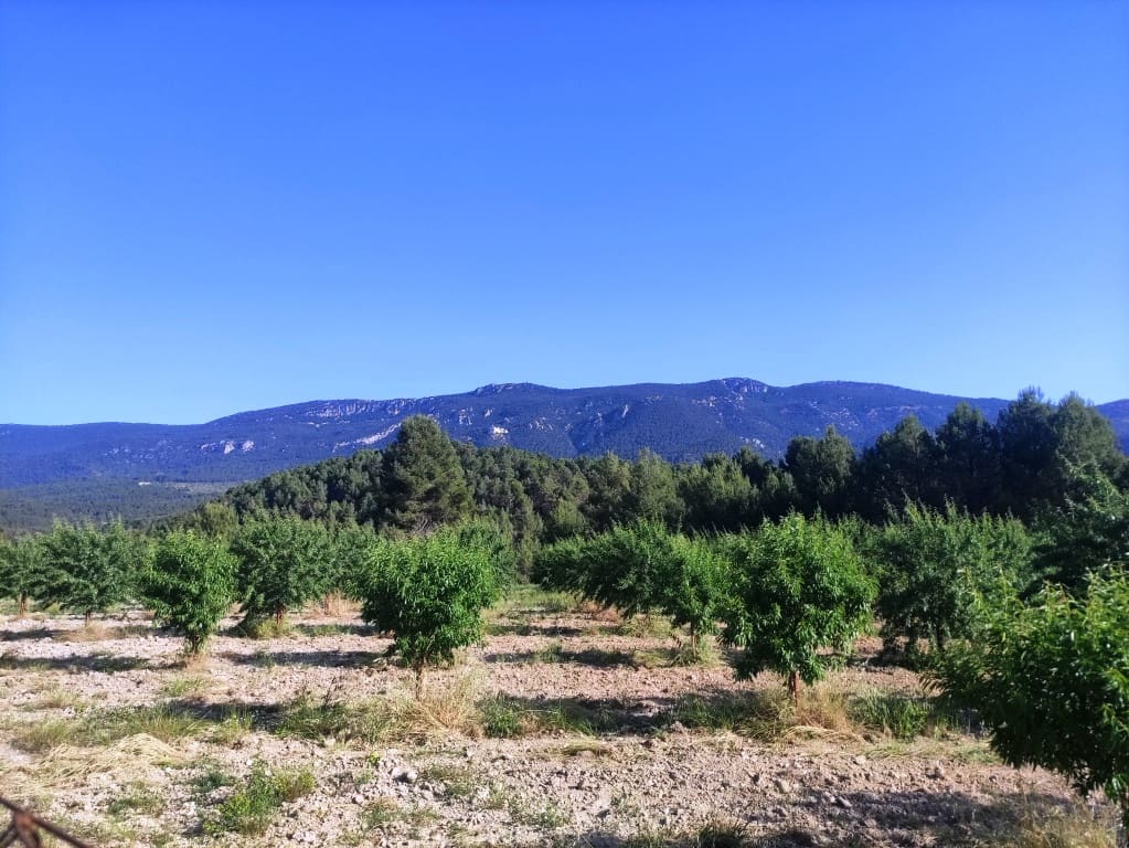 6 soveværelse Villa til salg i Alcoy / Alcoi med garage - € 550.000 (Ref: 9888479)