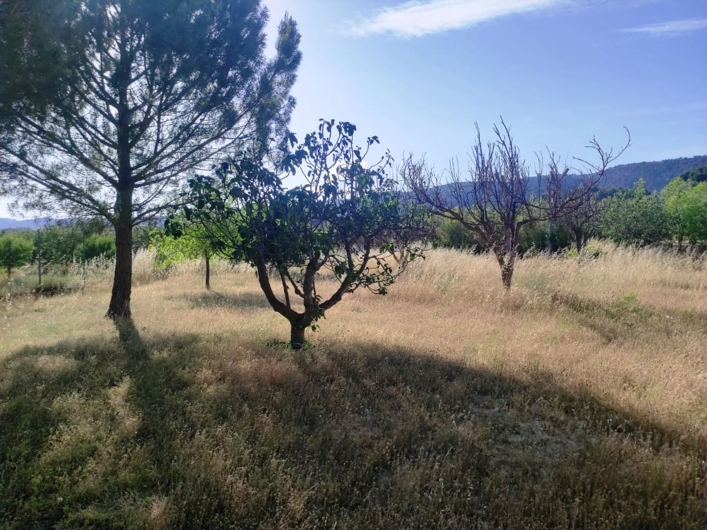 6 soveværelse Villa til salg i Alcoy / Alcoi med garage - € 550.000 (Ref: 9888479)