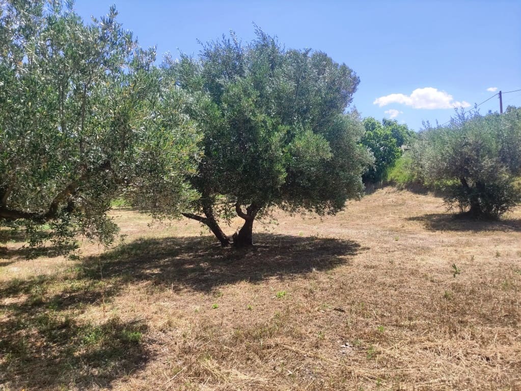 3 makuuhuone Maalaistalo myytävänä paikassa Ontinyent - 150 000 € (Ref: 9889481)