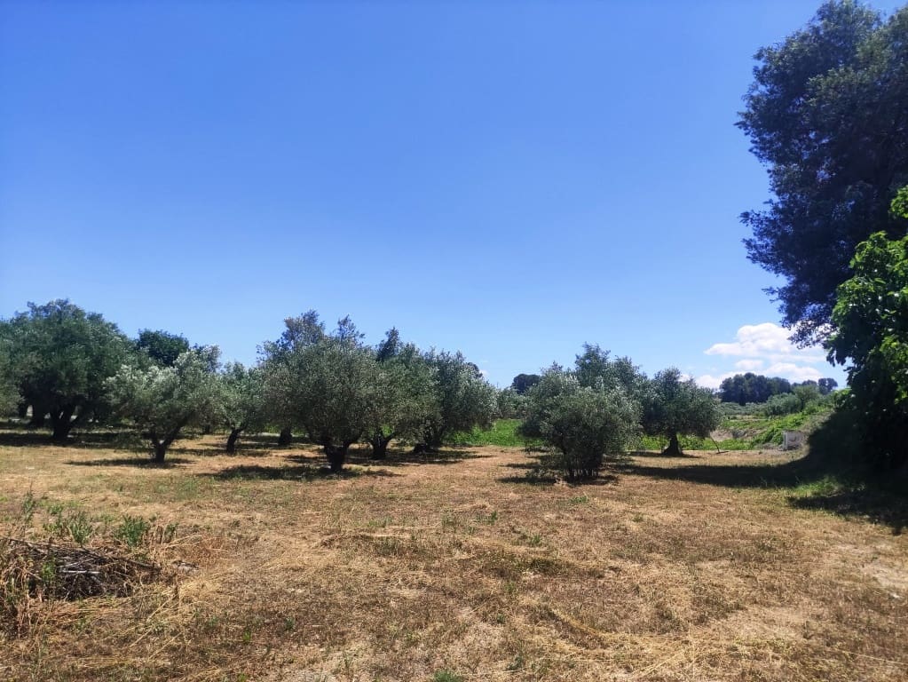 3 makuuhuone Maalaistalo myytävänä paikassa Ontinyent - 150 000 € (Ref: 9889481)