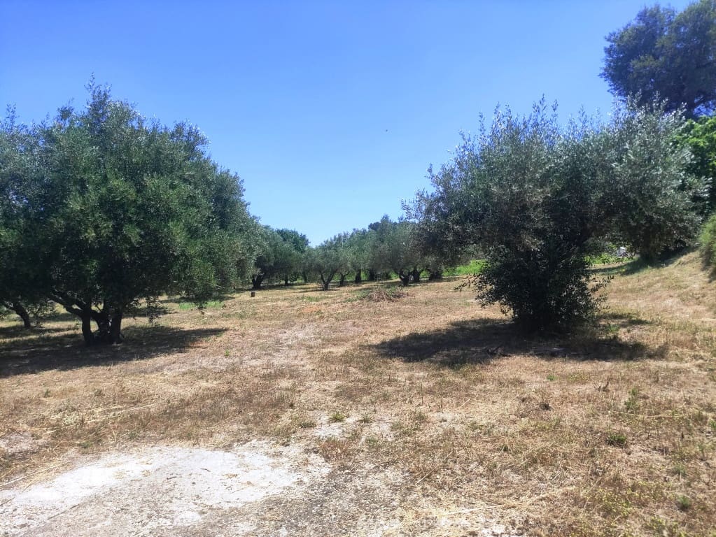 3 makuuhuone Maalaistalo myytävänä paikassa Ontinyent - 150 000 € (Ref: 9889481)
