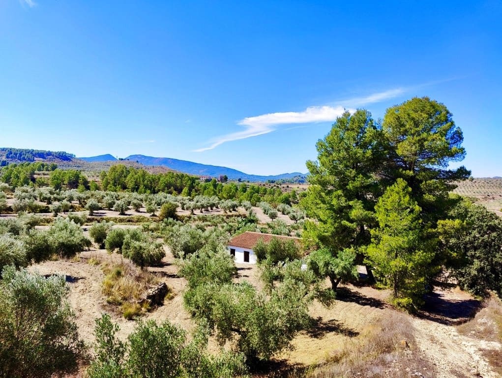 3 sovrum Finca/Hus på landet till salu i Penaguila med pool garage - 50 000 € (Ref: 9926587)