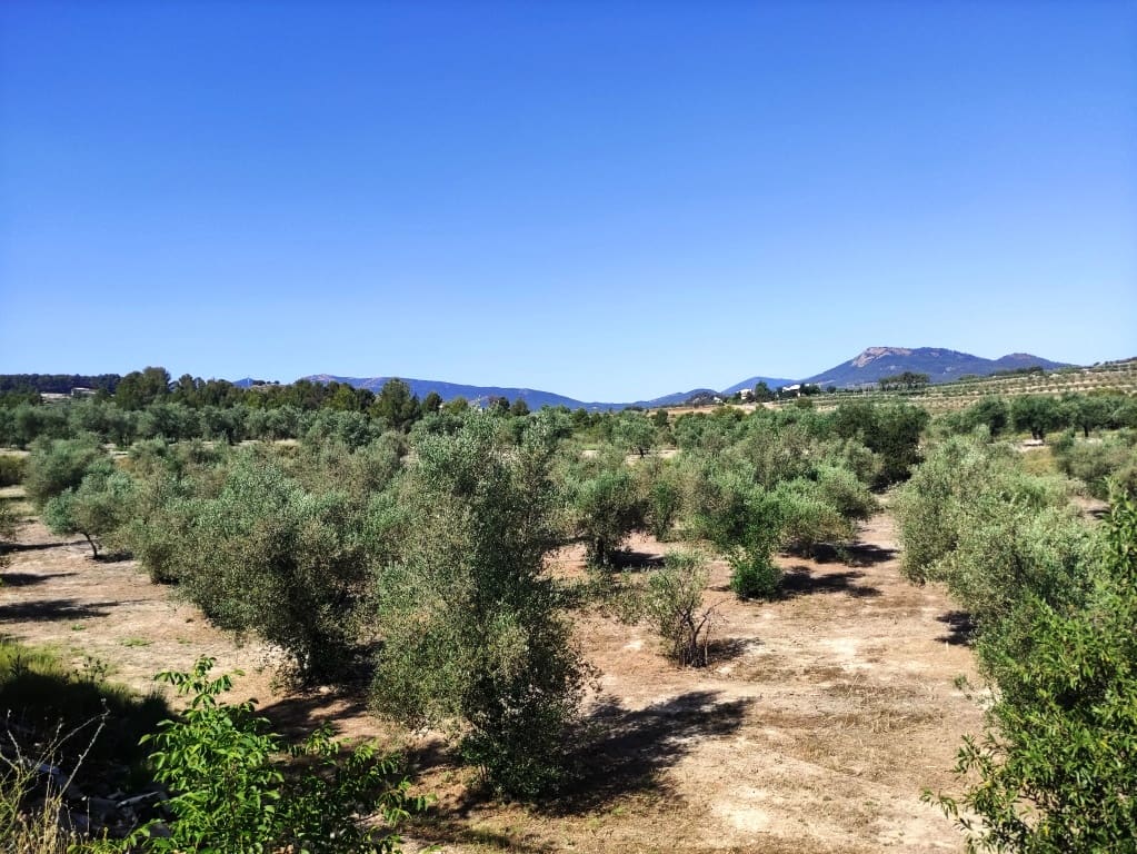 3 sovrum Finca/Hus på landet till salu i Penaguila med pool garage - 50 000 € (Ref: 9926587)