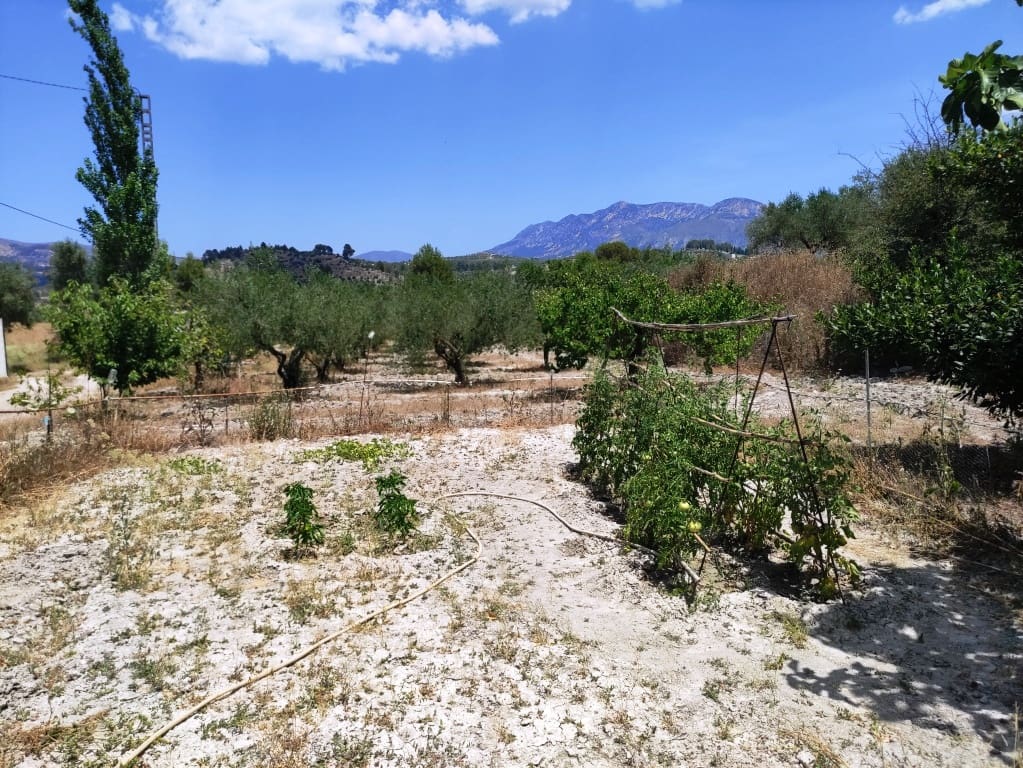 3 soveværelse Finca/Landehus til salg i Benilloba med swimmingpool garage - € 145.000 (Ref: 9940747)