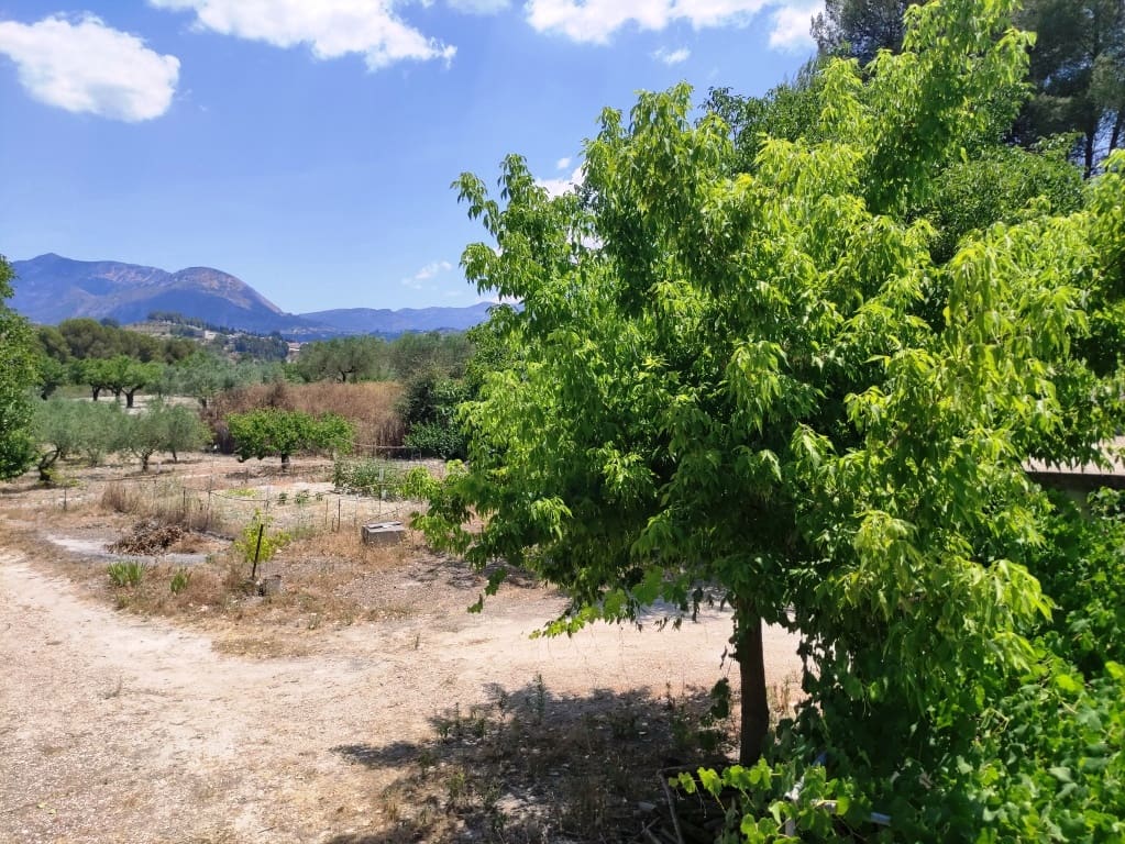 3 soveværelse Finca/Landehus til salg i Benilloba med swimmingpool garage - € 145.000 (Ref: 9940747)
