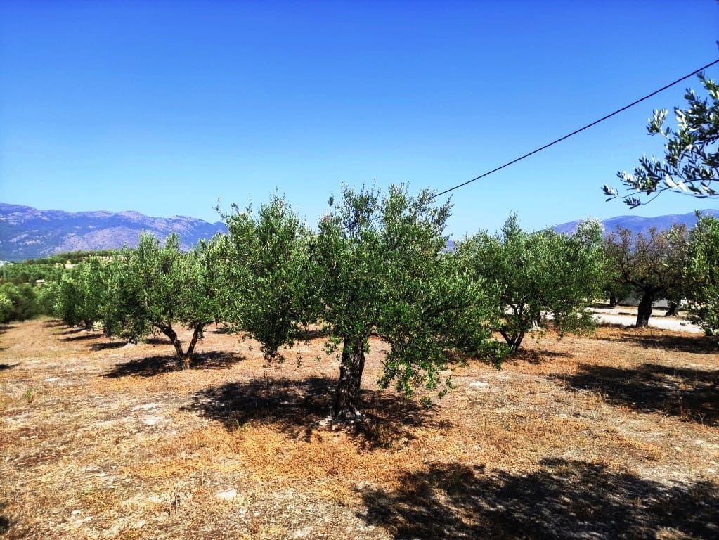 1 soveværelse Finca/Landehus til salg i Cocentaina - € 130.000 (Ref: 9966042)