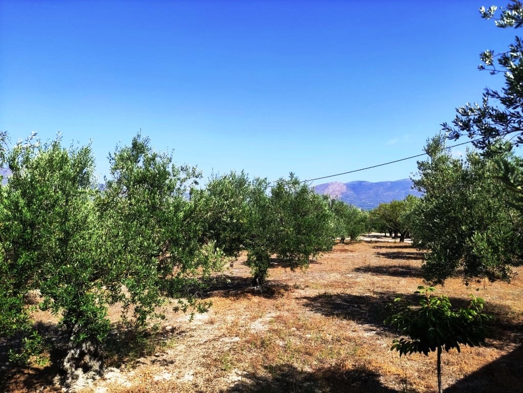 1 soveværelse Finca/Landehus til salg i Cocentaina - € 130.000 (Ref: 9966042)