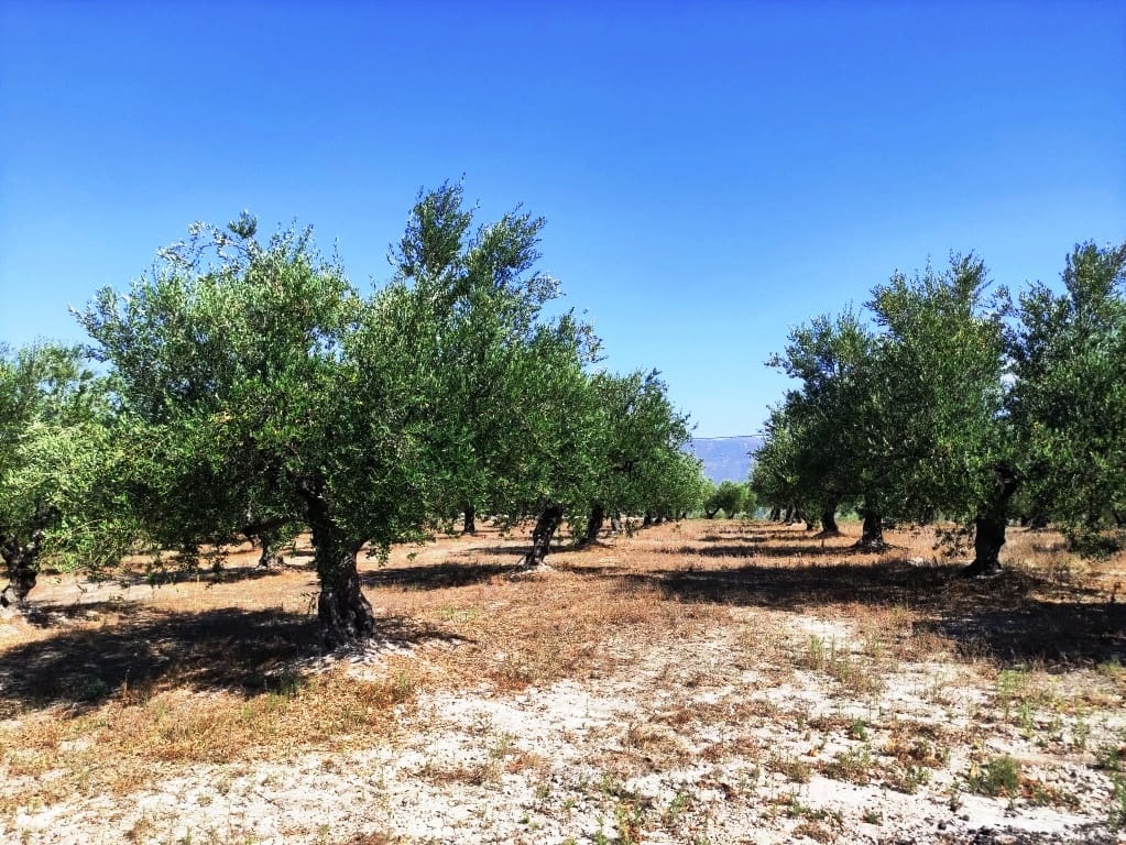 1 soveværelse Finca/Landehus til salg i Cocentaina - € 130.000 (Ref: 9966042)