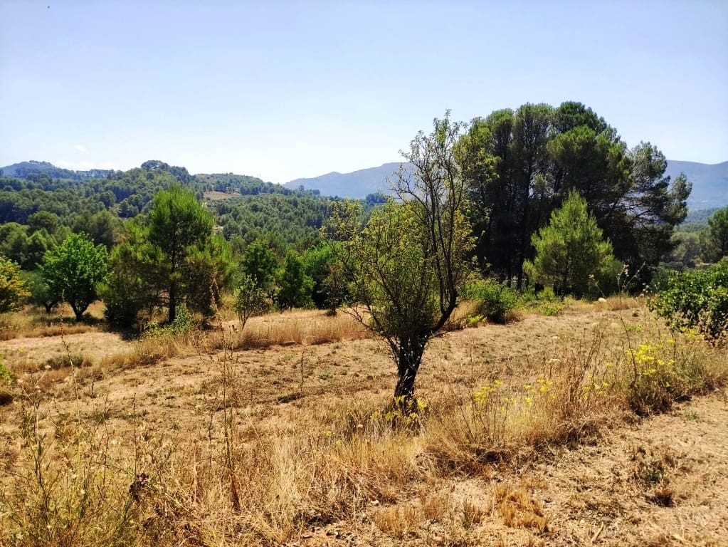 3 bedroom Finca/Country House for sale in Catamarruc - € 150,000 (Ref: 9966043)