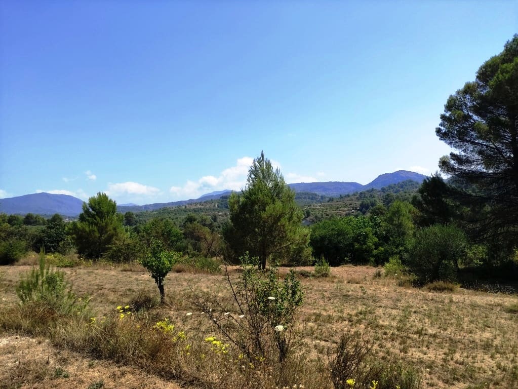 3 bedroom Finca/Country House for sale in Catamarruc - € 150,000 (Ref: 9966043)