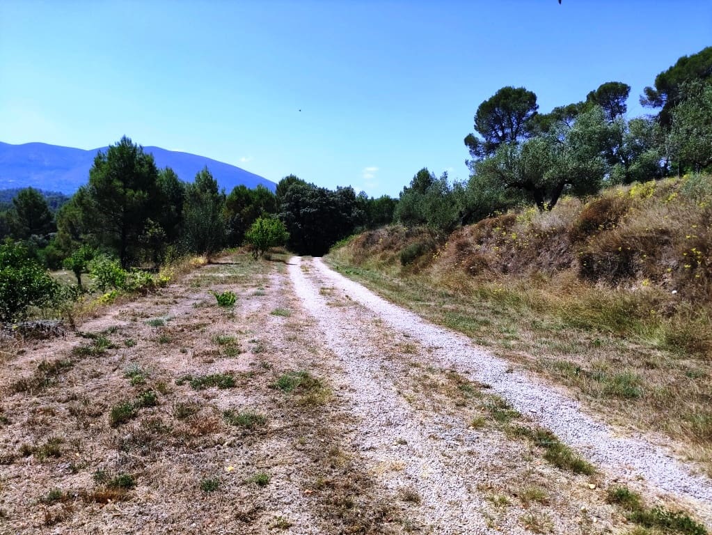 3 bedroom Finca/Country House for sale in Catamarruc - € 150,000 (Ref: 9966043)