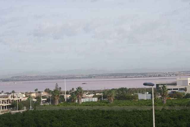 Adosado de 3 habitaciones en El Chaparral - La Siesta - La Torreta, Torrevieja en venta con piscina garaje - 330.000 € (Ref: 9348577)