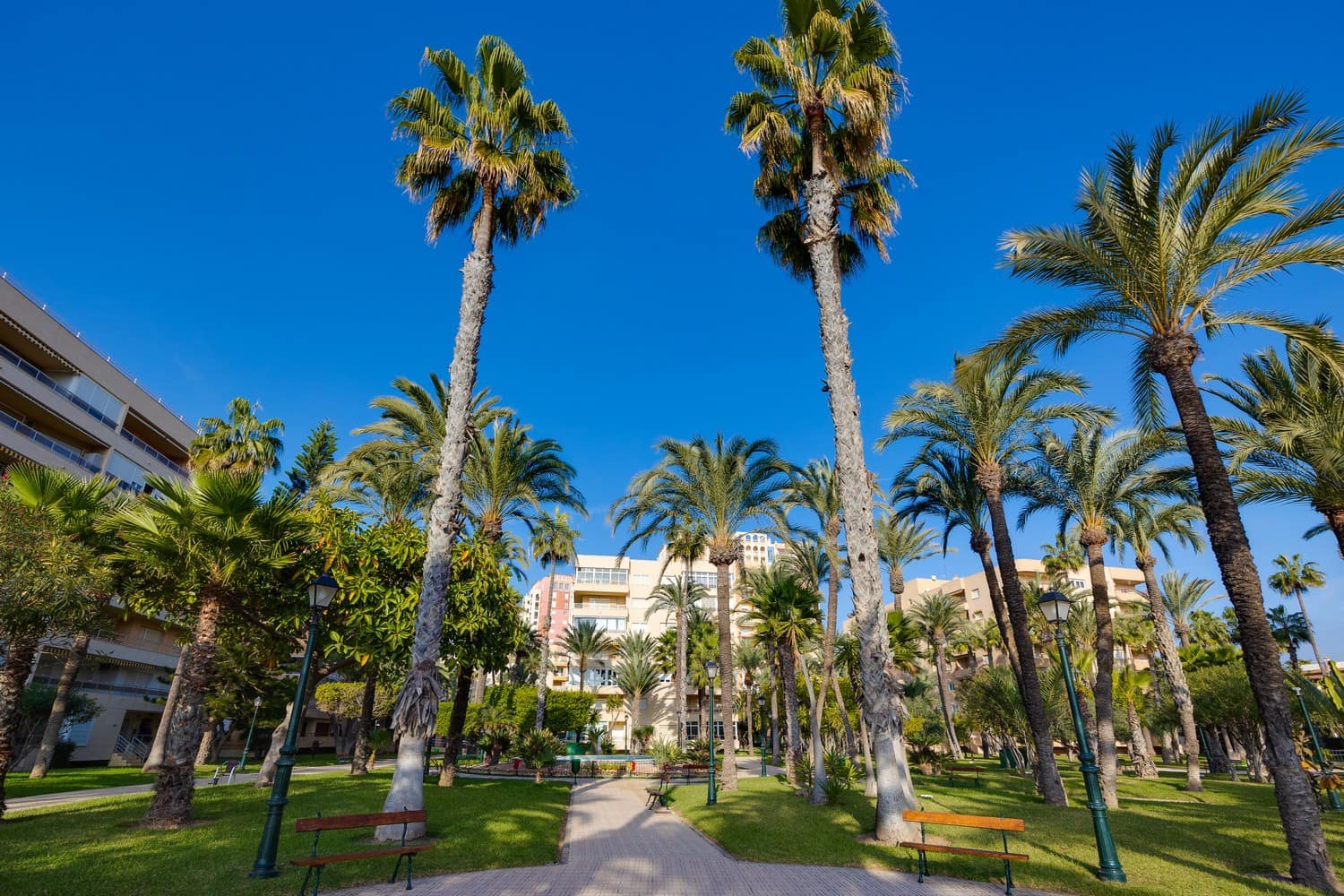 5 quarto Apartamento para venda em Torrevieja com piscina garagem - 575 000 € (Ref: 9451396)