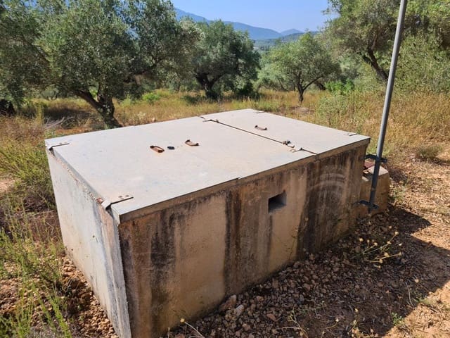 Terreno Non Edificato in vendita in Freginals - 85.000 € (Rif: 10003622)