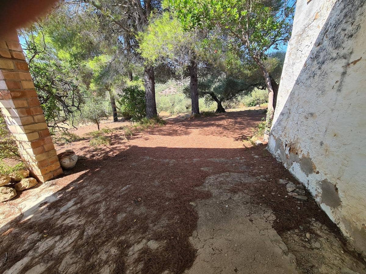 Terreno Non Edificato in vendita in Freginals - 85.000 € (Rif: 10003622)