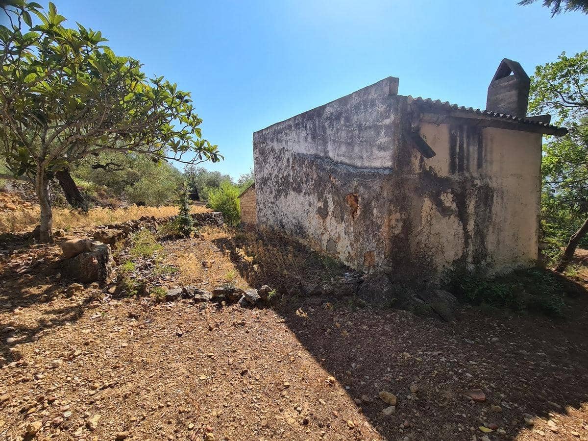 Terreno Non Edificato in vendita in Freginals - 85.000 € (Rif: 10003622)