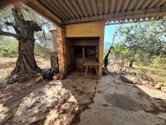 Terreno Non Edificato in vendita in Freginals - 85.000 € (Rif: 10003622)