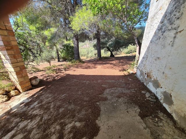 Terreno Non Edificato in vendita in Freginals - 85.000 € (Rif: 10003622)