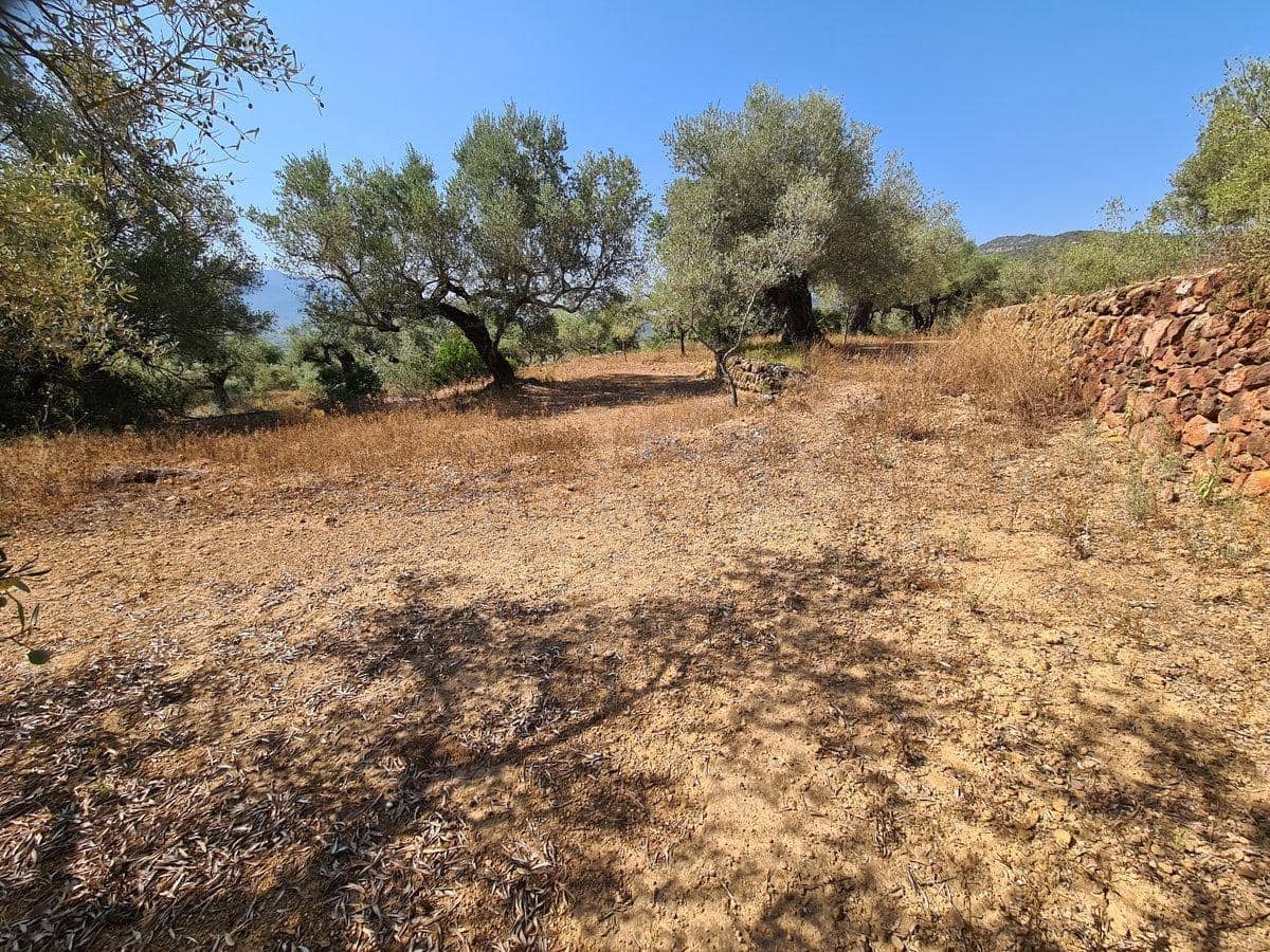 Terreno Non Edificato in vendita in Freginals - 85.000 € (Rif: 10003622)