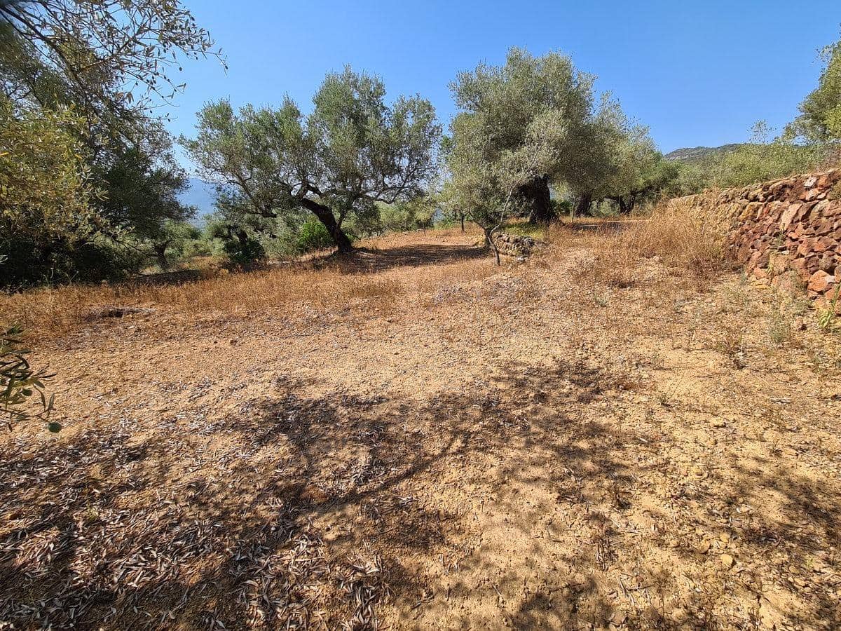 Terreno Non Edificato in vendita in Freginals - 85.000 € (Rif: 10003622)