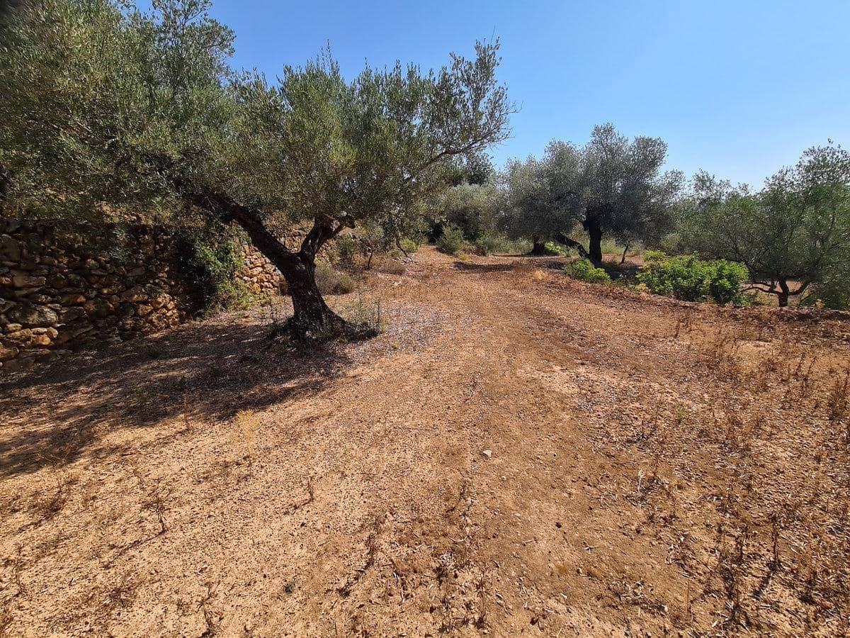 Terreno Non Edificato in vendita in Freginals - 85.000 € (Rif: 10003622)