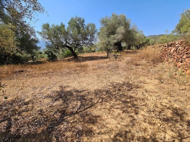 Terreno Non Edificato in vendita in Freginals - 85.000 € (Rif: 10003622)