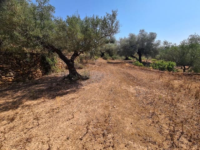 Terreno Non Edificato in vendita in Freginals - 85.000 € (Rif: 10003622)