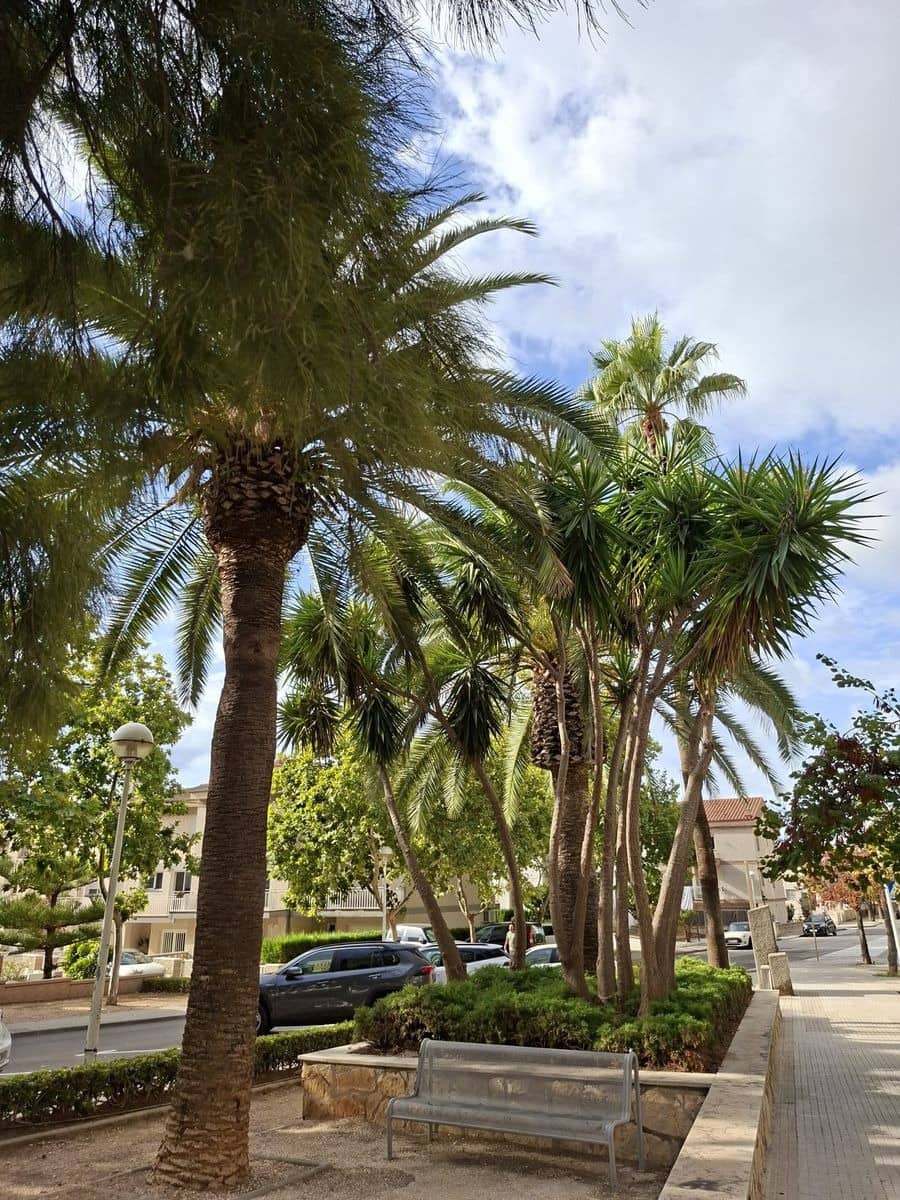 2 chambre Penthouse à vendre à Sant Carles de la Rapita avec piscine - 210 000 € (Ref: 10043065)