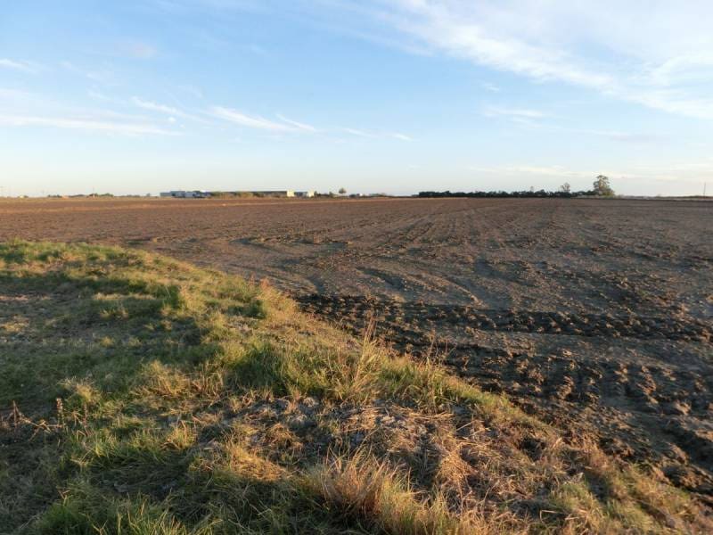 Finca/Landehus til salg i Sant Carles de la Rapita - € 425.000 (Ref: 2993493)