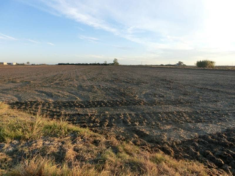 Finca/Landehus til salg i Sant Carles de la Rapita - € 425.000 (Ref: 2993493)