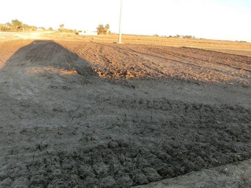 Finca/Landehus til salg i Sant Carles de la Rapita - € 425.000 (Ref: 2993493)