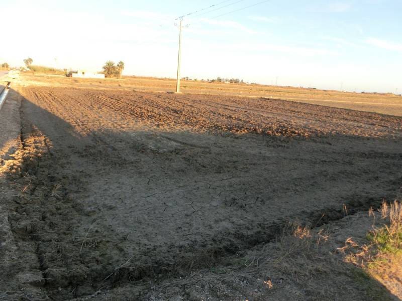 Finca/Landehus til salg i Sant Carles de la Rapita - € 425.000 (Ref: 2993493)