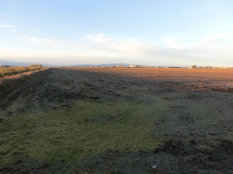 Finca/Landehus til salg i Sant Carles de la Rapita - € 425.000 (Ref: 2993493)