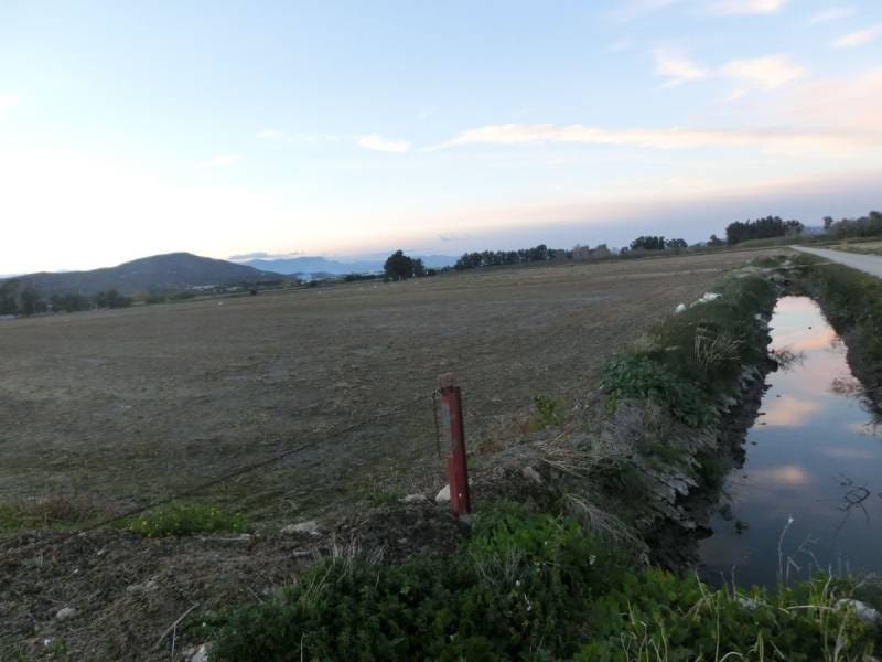 Finca/Landehus til salg i Sant Carles de la Rapita - € 425.000 (Ref: 2993493)