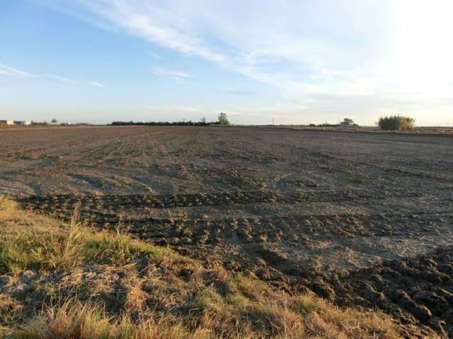 Maalaistalo myytävänä paikassa Sant Carles de la Ràpita - 425 000 € (Ref: 2993493)