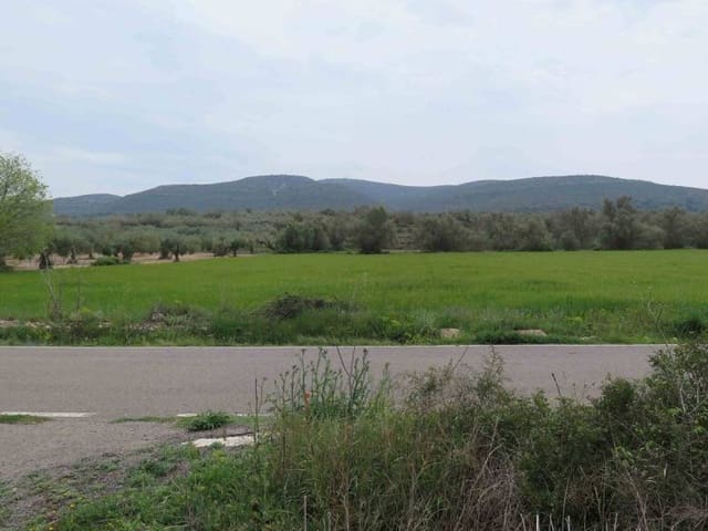 Finca/Country House for sale in Ulldecona - € 42,000 (Ref: 3021600)