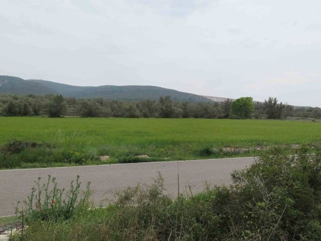 Finca/Country House for sale in Ulldecona - € 42,000 (Ref: 3021600)