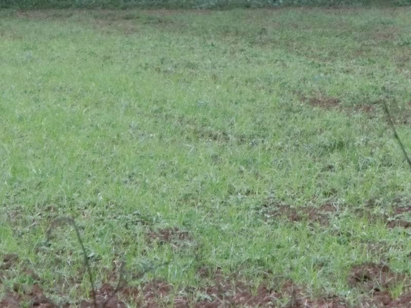 Finca/Herregård til salgs i Ulldecona - € 13 000 (Ref: 3113631)